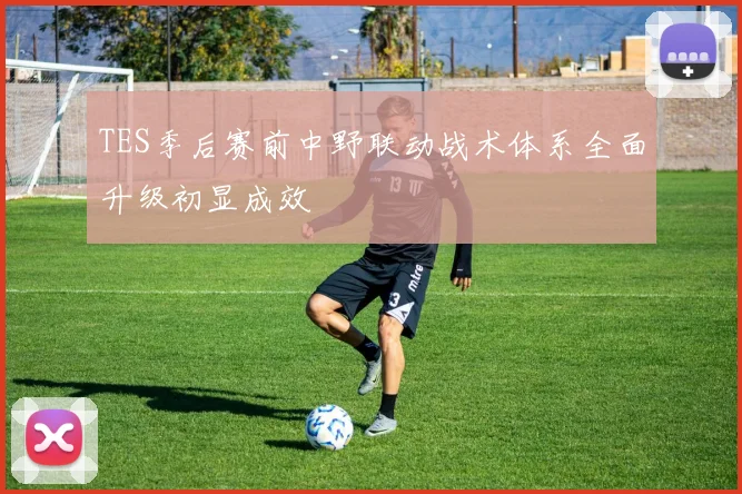 TES季后赛前中野联动战术体系全面升级初显成效