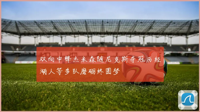 双向中锋杰米森随尼克斯夺冠历经湖人等多队磨砺终圆梦